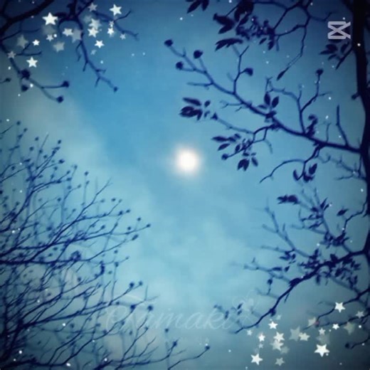 Thousend Years: A Beautiful Music Edit