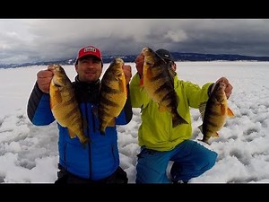 Cascade Lake Ice Fishing Giant Perch Outtakes