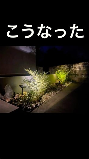 木植えてみた