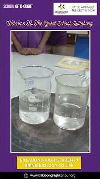 Grade 8 Science Experiment