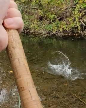 Brown Trout on a BWO | Dry Fly Fishing a Spring Creek in Upstate NY