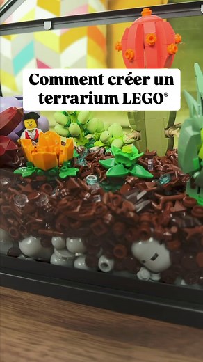 On a construit une nouvelle maison pour nos plantes succulentes parce qu’elles le méritent 🥹🌱 | LEGO