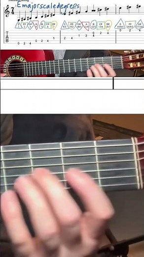 Learn the E Major Scale to build and name E Chords 1-13 #majorscale #guitarchords