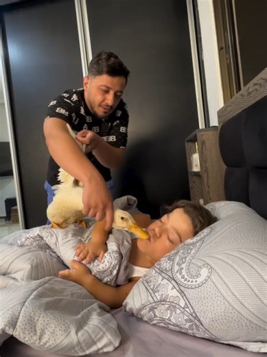 FUNNY PRANKS REELS 😂 (@funnypranksreels0)’s videos with original sound - FUNNY PRANKS REELS 😂