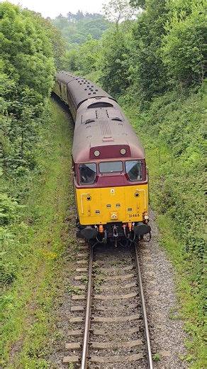 BR Class 31 Number 31466 built 1959 with 1470hp & 90mph in EWS Livery seen at Beck Hole on the NYMR