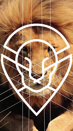 Creative Lion Logo Design for Cars