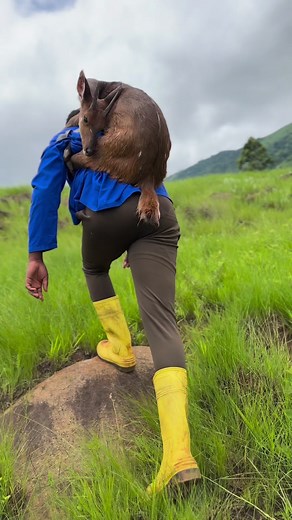 Intombi eqome mina ibusisekile ngoba yaqoma iphisi | Mr double d2