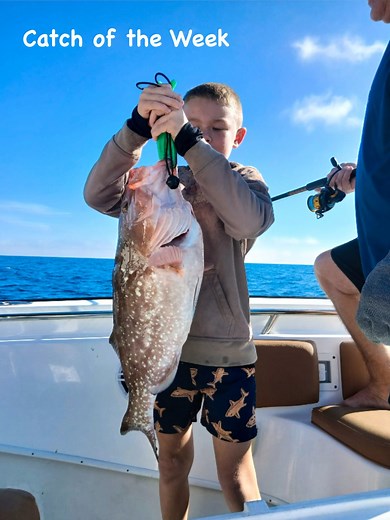 🐠💙 Catch of the Week! When the fish are biting and the kids are happy, that’s a perfect day in our book! This little angler showed the Gulf who’s boss 👏🎣. Way to go, buddy! | Playin' Hooky Charters