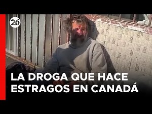 CANADA | Fentanyl: The zombie drug wreaks havoc