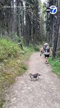 Couple has 'terrifying' encounter with bear on hiking trail near Banff