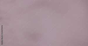 focus on a part of a fur coat made of natural white arctic fox fur, a close-up of arctic fox fur used in the manufacture of clothing