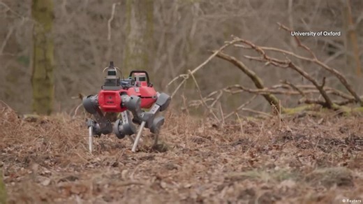 'Robo-dog' British researchers' new weapon in fight to save forests