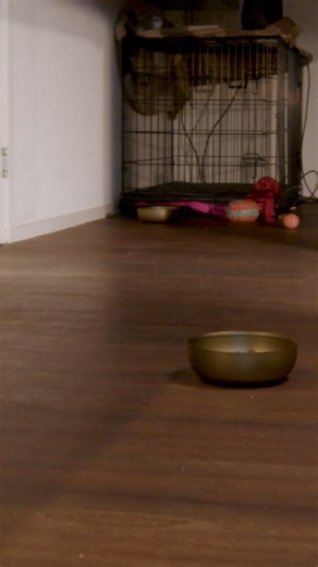 Forix - Shortform_Thema_3_Video_2