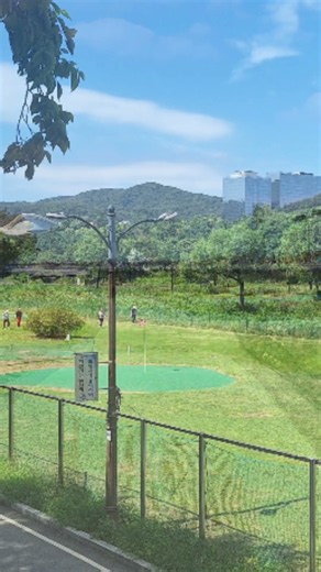 오동잎 (최헌)