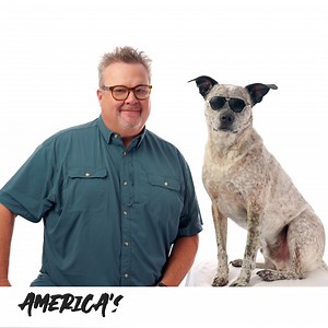 3.5K reactions · 466 shares | Do you think your pet is the cutest? You could win $10,000 and have your pet featured on the cover of Modern Dog or Modern Cat magazine! | Eric Stonestreet | Facebook