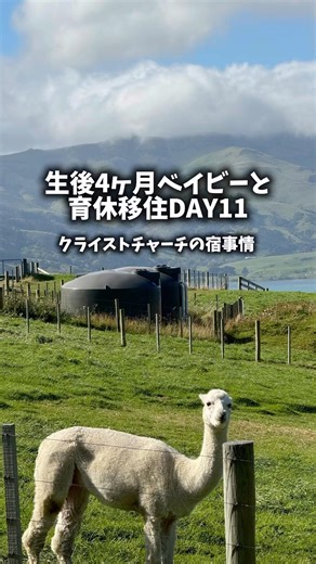 [Parental Leave Relocation] A short overseas move to New Zealand with a 4-month-old baby! Accommo...