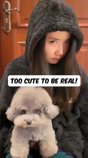 The Cutest Animals on Earth 🥹