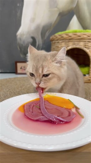 Cat Cat Immersive Meat Rubbing: Is the Little Cat Sent to Heal Humans?