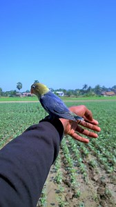 225K views · 7K reactions | #BTS ami chare Jabe na❤️ | S Younic | Facebook