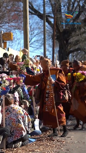✍ May peace, loving-kindness, compassion, and healing grow across this world like the first light of dawn—gently touching every life, every home, and every heart that needs it. May we all find peace in our lives—not as a distant dream, but as a quiet presence here and now, in the small, sacred moments that make up our days. May we find it in the soft breath between worry and calm, in the choice to speak with gentleness, and in the brave decision to let go of what we cannot change. May peace find