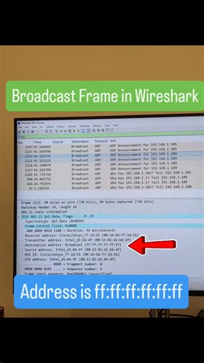 Cisco.Packet.Tracer on Instagram: "Deep dive into the packets and frames using Wireshark to brush up your networking skills.💚❤️🌸🌻 #wireshark #wiresharkanalysis #wiresharktraining #wiresharklab #networkingskills"