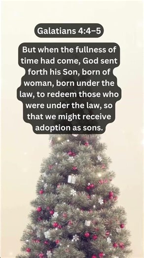 Journey of faith and spiritual growth | Galatians 4:4–5 Daily Bible Verse