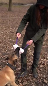 Unique Fluffy Dog Tug Toy – Faux Fur Bite Tug for Training, Play and Walks | Durable Toy for Medium and Large Dogs - Etsy UK