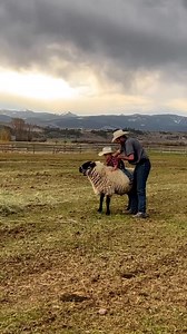 Couple of cowboys being cowboys. Video via Grassland Cattle Company. #WesternLifestyle | Wrangler Western
