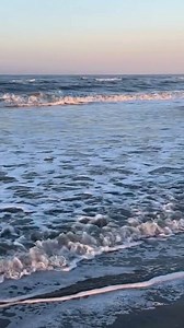 24K views · 642 reactions | It doesn’t take long for Emerald Isle to start feeling like home. #emeraldisle | Emerald Isle Realty, Inc. | Facebook