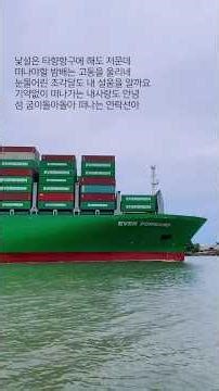 서배너 항구에 울리는 고동 소리 : 정재은 - 연락선 🚢
