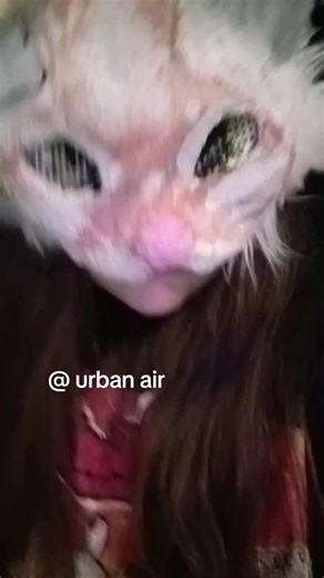 @Kylaryn hi there #viral #fyp #essa #labubu #therian @⋆˚࿔ emma 𝜗𝜚˚⋆.˚✮🎧✮˚.⋆:Halloween Horror Nights, taylor swift, chappell roan, haikyuu, harry potter, noah kahan, ferrari, frank ocean, anime, grwm, mukbang, sabrina carpenter, olivia rodrigo, harry styles, f1, the umbrella academy, demon slayer, charlie xcx, bridgerton, money heist, stranger things, wednesday, to all the boys ive ever loved, the summer i turned pretty, maze runner, outer banks, gigi perez, lana del rey, bruno mars, minecraft