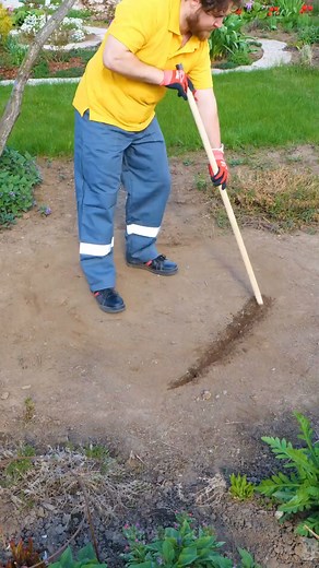 606K views · 6.7K reactions | Transform Your Yard with a Beautiful Heart-Shaped Koi Pond for Summer | 5-Minute Crafts Green | Facebook