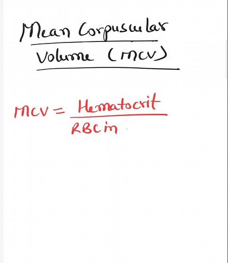 Mean Corpuscular Volume ( MCV )
