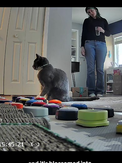 Dog Uses Buttons to Communicate Needs and Emotions