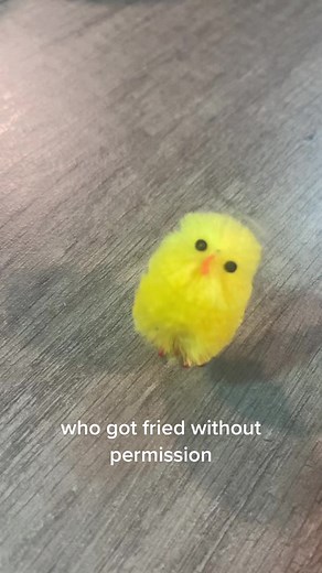 Funny Chicken and Chicks Compilation