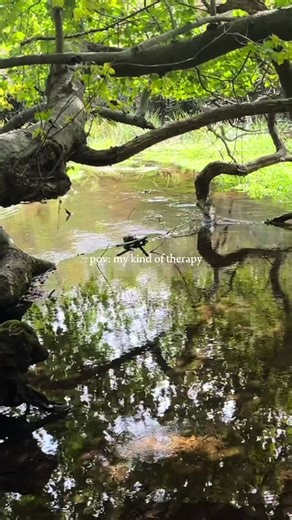 Hiking montage. ##hike #chickenofthewoodsmushroom #parktrekker