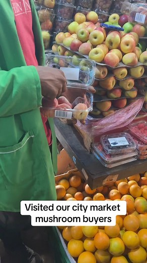 Mushroom market options | Farmer on Fire