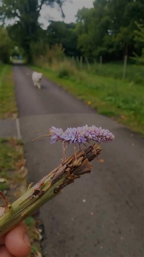 13K views · 1.1K reactions | Affirm Yes ❤️ . . . . . . . . #affirmation #affirmations #affirmationoftheday #wealthcreation #attractmoney #lawofattractionmoney #lawofattraction #buddha #sprituality #awakening #usa #newyork #losangeles | Law of attraction | Facebook