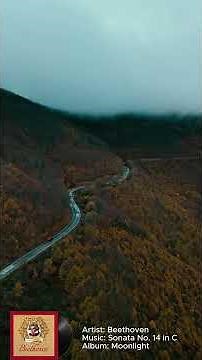 Beethoven – Moonlight Sonata | Música Clássica para Relaxar, Estudar e Dormir