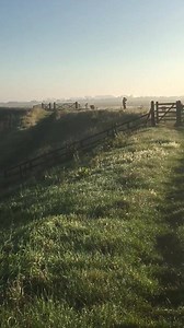 59 reactions · 10 comments | RSPB Frampton this morning. Lovely! | Bird Watching | Facebook