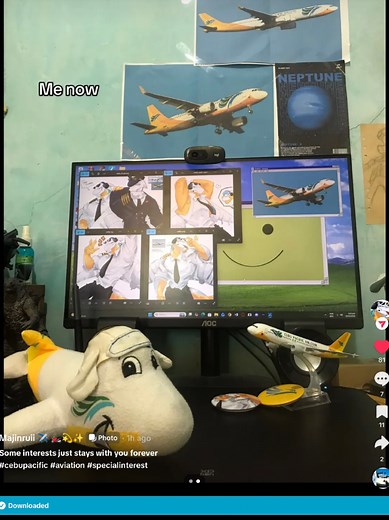 Cebu Pacific: The Ultimate Fan Experience