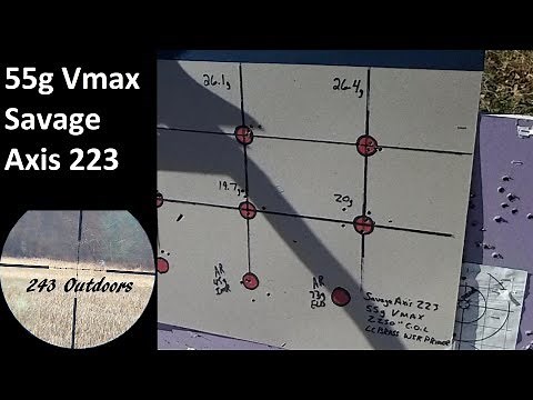 223 Rem 55g Vmax; Varget & IMR 4198