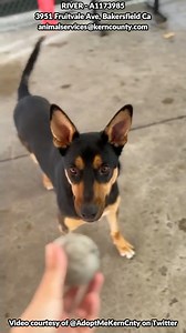 2.4K views · 98 reactions | LONGEST RESIDENT - River has been at the...