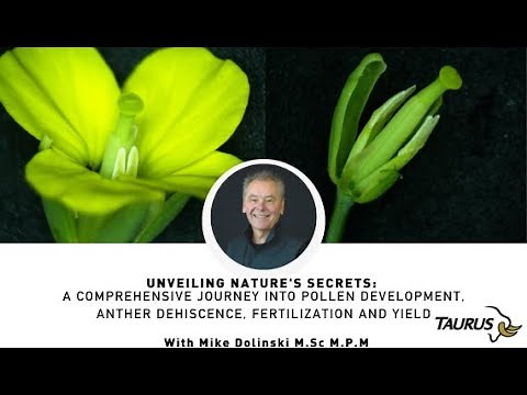 A Comprehensive Journey into Pollen Development, Anther Dehiscence, Fertilization and Yield