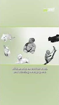 Dark Experiments: The Little Albert Experiment
