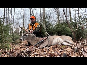 The Bare Ground Buck (Still-Hunting a Northern Maine Brute)