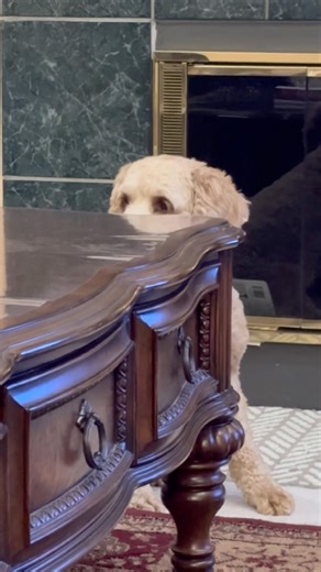 Playing hide and seek #FunTimes