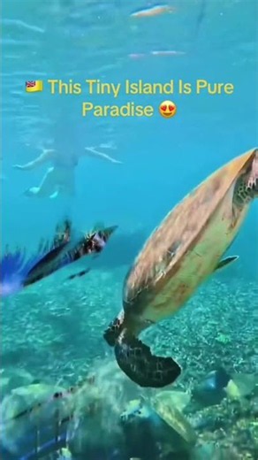 🇳🇺 This Tiny Island Is Pure Paradise 😍 | Discover Niue