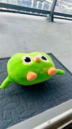 Duo Didn’t Like This