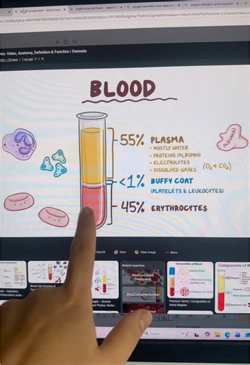 Oxygen Saturation 😂 #oxygensaturation #spo2 #medicine #stem